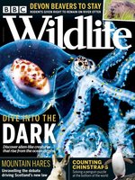 BBC Wildlife Magazine